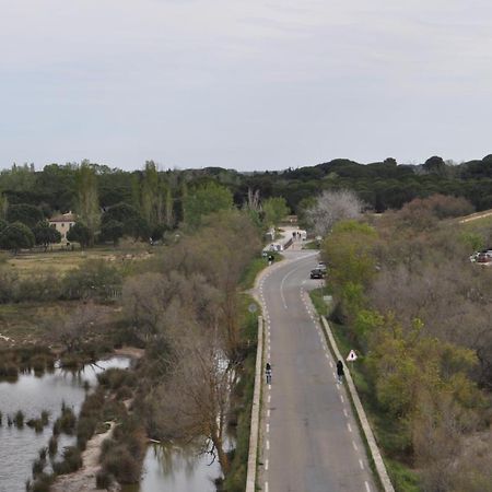Vacances En Camargue Proche De La Mer Climatise Aigues-Mortes Eksteriør billede