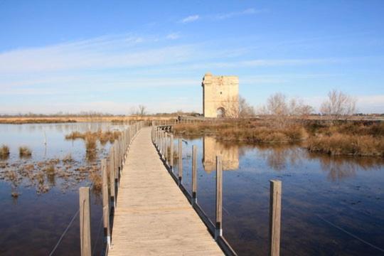Vacances En Camargue Proche De La Mer Climatise Aigues-Mortes Eksteriør billede