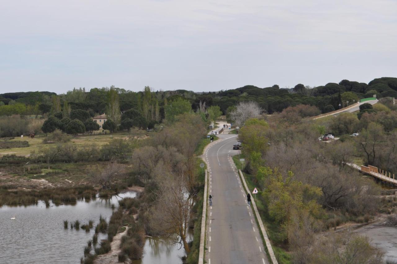 Vacances En Camargue Proche De La Mer Climatise Aigues-Mortes Eksteriør billede